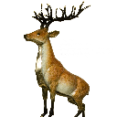 碁奇藝術 / 銅臻年代